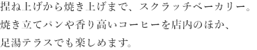 バーチテラス文章