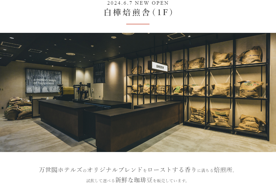 白樺焙煎舎（1F）
